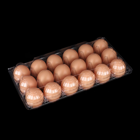 HSQY 18개입 투명 플라스틱 계란 상자
