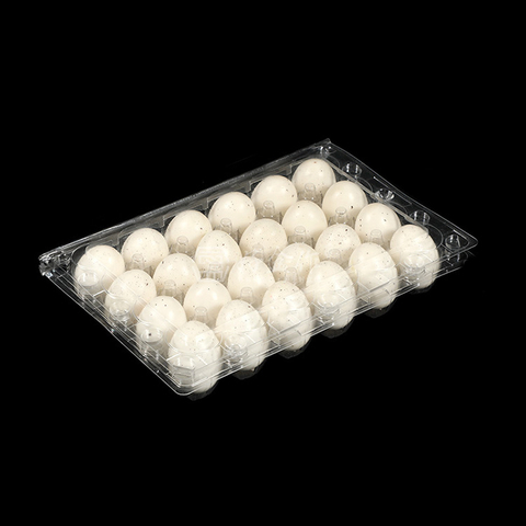 Caixa de papelão para ovos de codorna de plástico transparente com 24 contagens HSQY