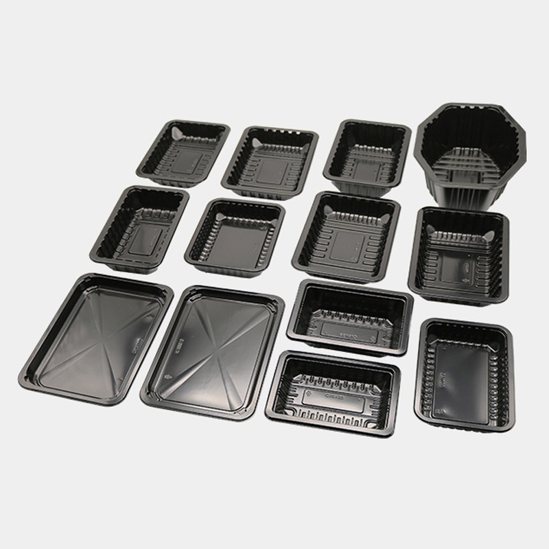 HSQY 10,2 x 6,9 x 0,6 Zoll rechteckiges Fleischtablett aus schwarzem PP-Kunststoff