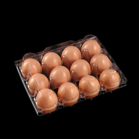 HSQY 12-count Clear Plastic Egg Cartons