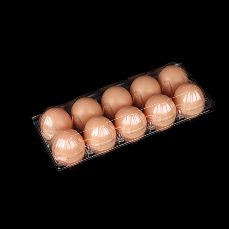 Cartons d'œufs en plastique transparent HSQY, 10 unités