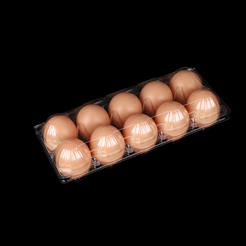 HSQY 10-count Clear Plastic Egg Cartons