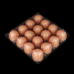 HSQY Cartoni per uova in plastica trasparente da 16 conteggi