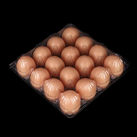 HSQY Cartoni per uova in plastica trasparente da 16 conteggi
