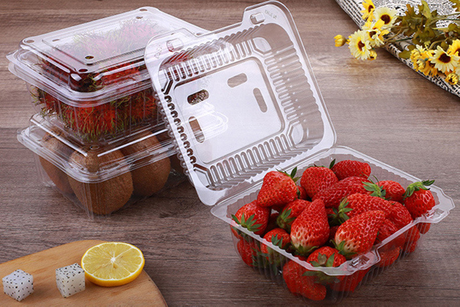 HSQY 7,48 * 6,1 pouces boîte à fruits PET jetable rectangle plateau en plastique PET transparent