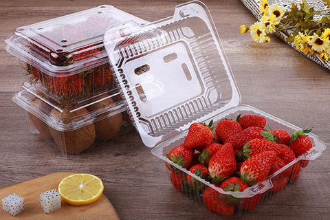 HSQY 7.48*6.1 Inches PET Fruit Box Disposable Rectangle Clear PET Plastic Tray