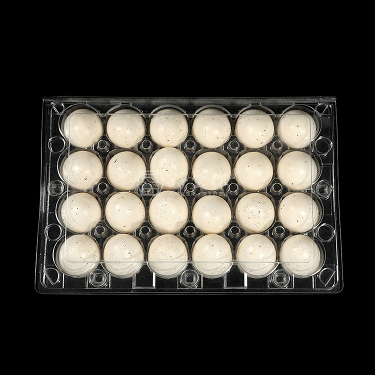 Hộp đựng trứng cút bằng nhựa trong suốt 24 số HSQY