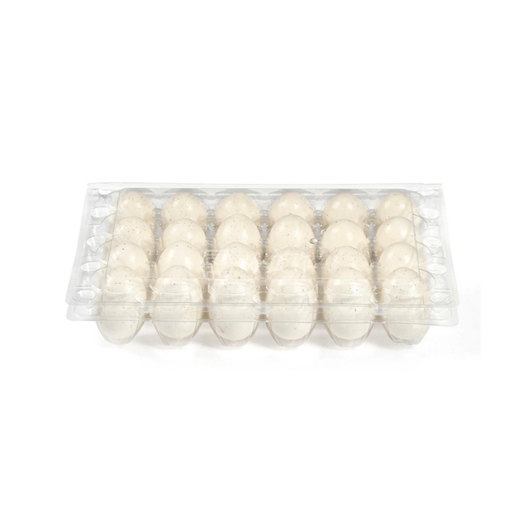 HSQY علبة كرتون بيض السمان البلاستيكية الشفافة مكونة من 24 قطعة