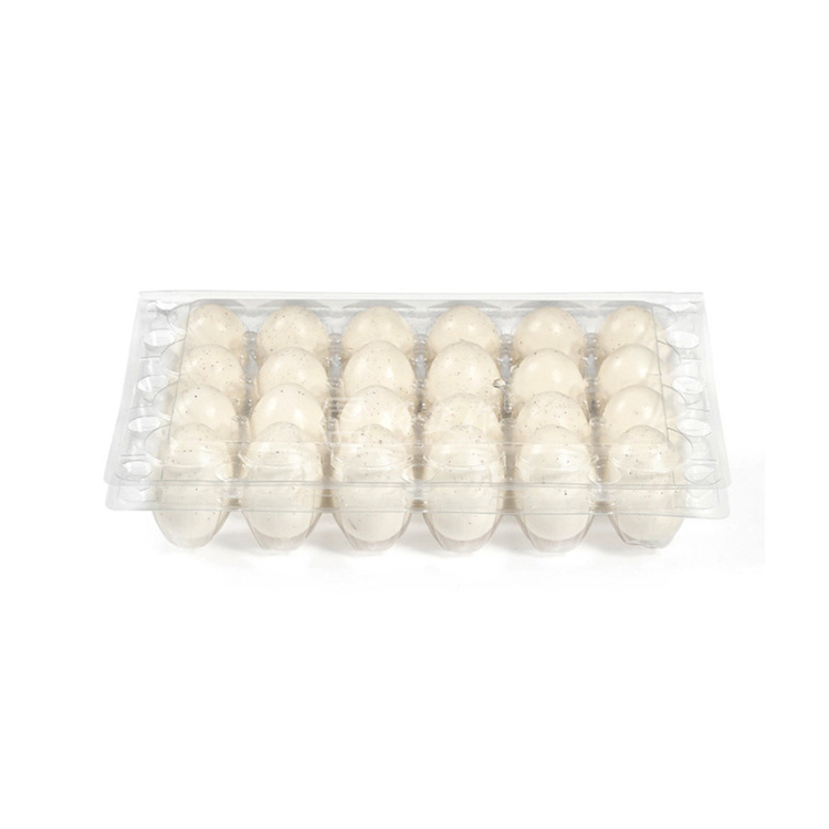 HSQY 24-count Clear Plastic Quail Egg Cartons Box