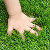 トルコ市場の緑の人工芝芝生カーペット用の売れ筋プラスチック シート 
